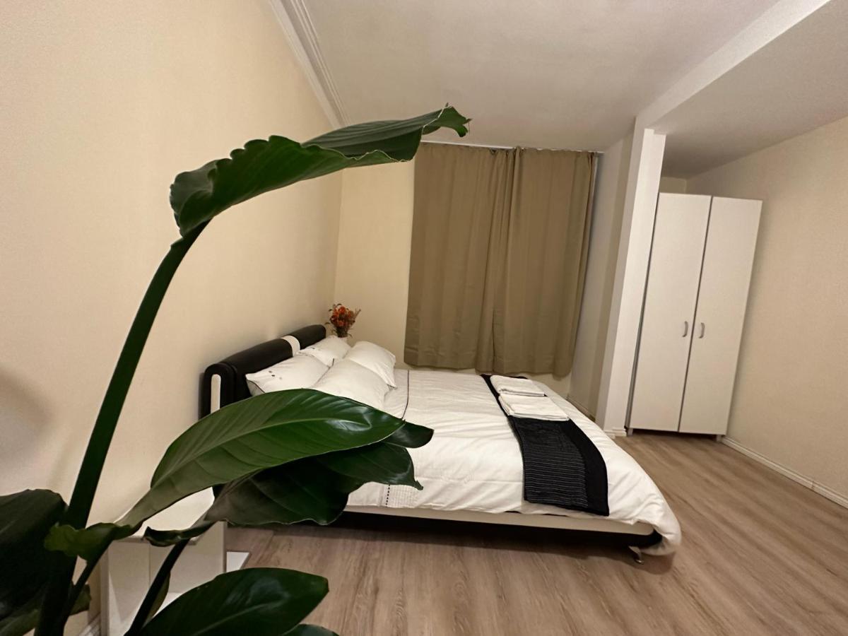 North London A Spacious 7 Bedroom House Accommodating Up To 18 People Complete With Own Gym And Table Tennis Bagian luar foto